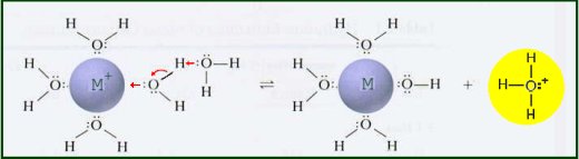 Hydrolysis of a hydrated cation