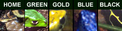 Frog Navigation 