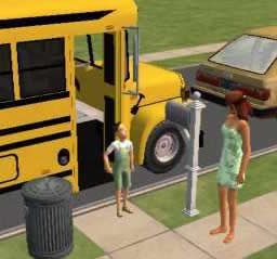 bus