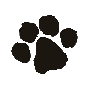 paw