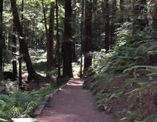 a trail
