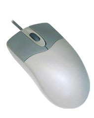 Picture of a mouse.