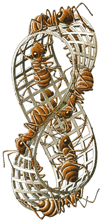 Moebius Band 2 by M.C. Escher.