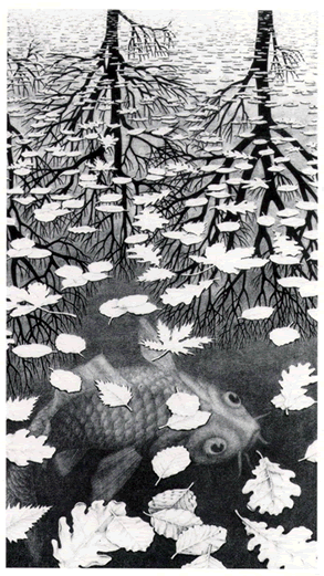 Three Worlds by M.C. Escher.