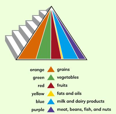 food pyramid