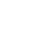 Picture of numerical operators