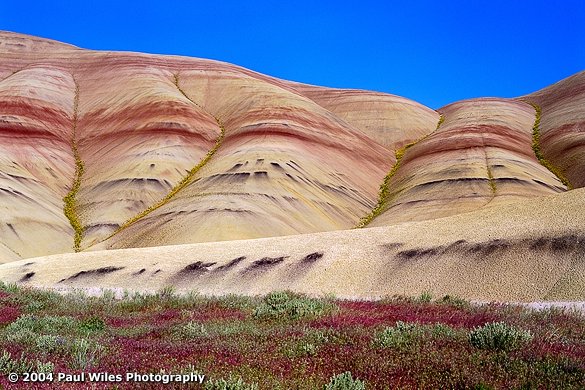 paintedhills2