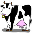 cute cow
