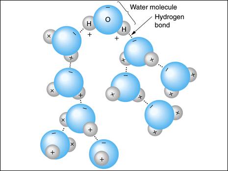 water_chemistry